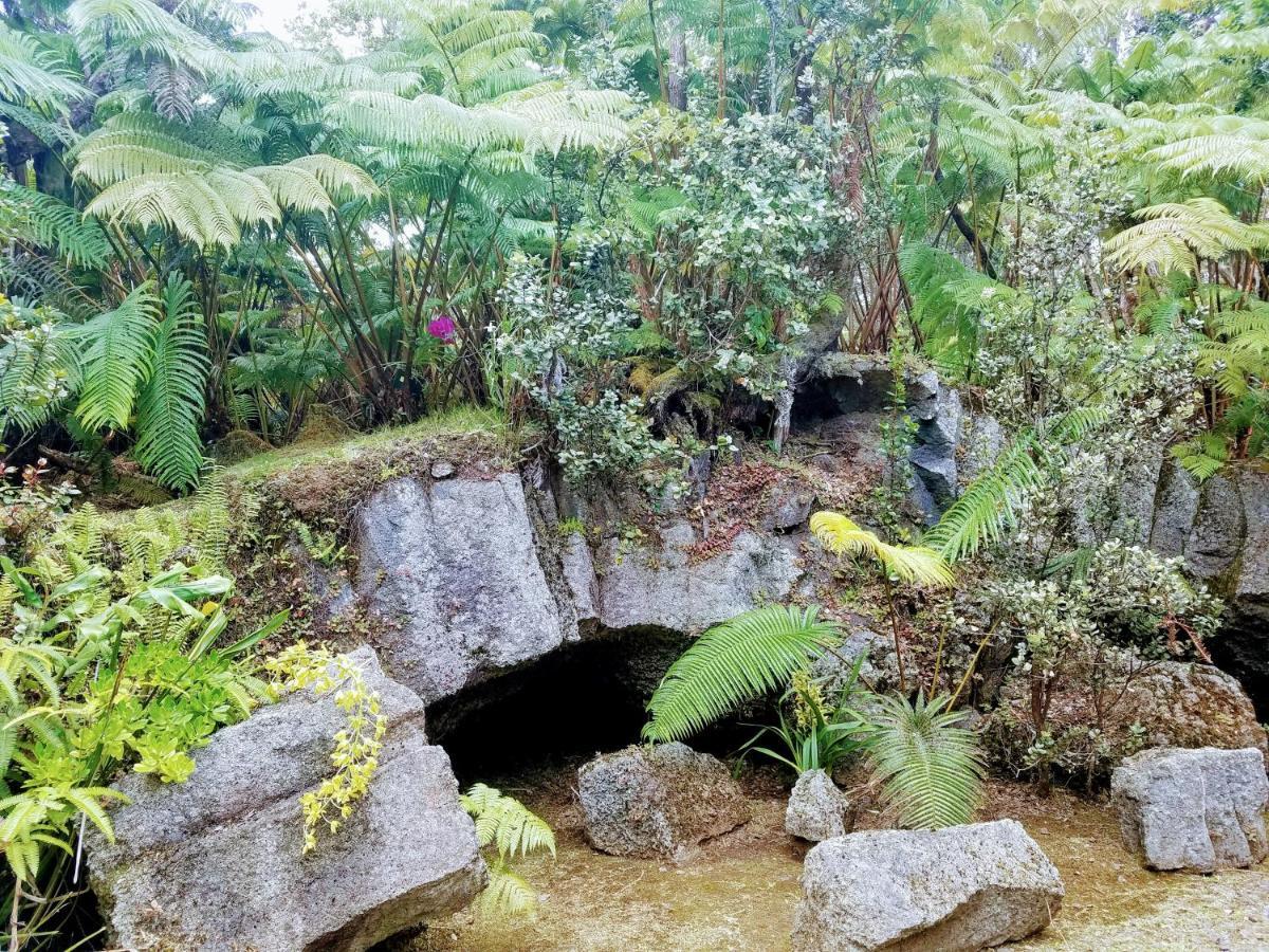 'Ama'U Lani Cottage Volcano Bagian luar foto