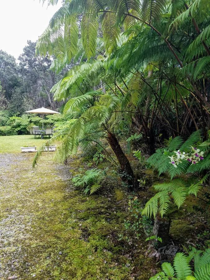 'Ama'U Lani Cottage Volcano Bagian luar foto